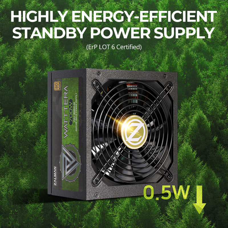 EBT-II 700W Fully Modular Power Supply, 80+ GOLD